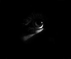 Climate Crisis Digest March 2026 - Climate Shadow: Weathering Hate and Love