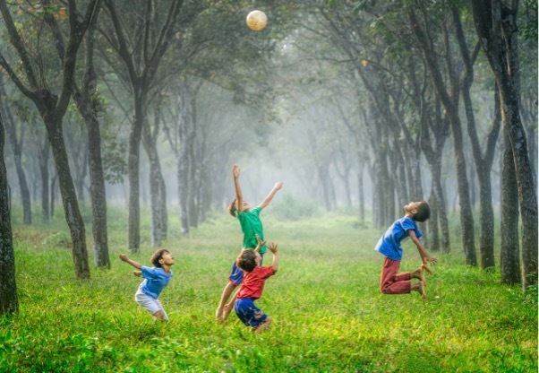 The Climate Psychology Alliance is Looking For a Young People’s Coordinator