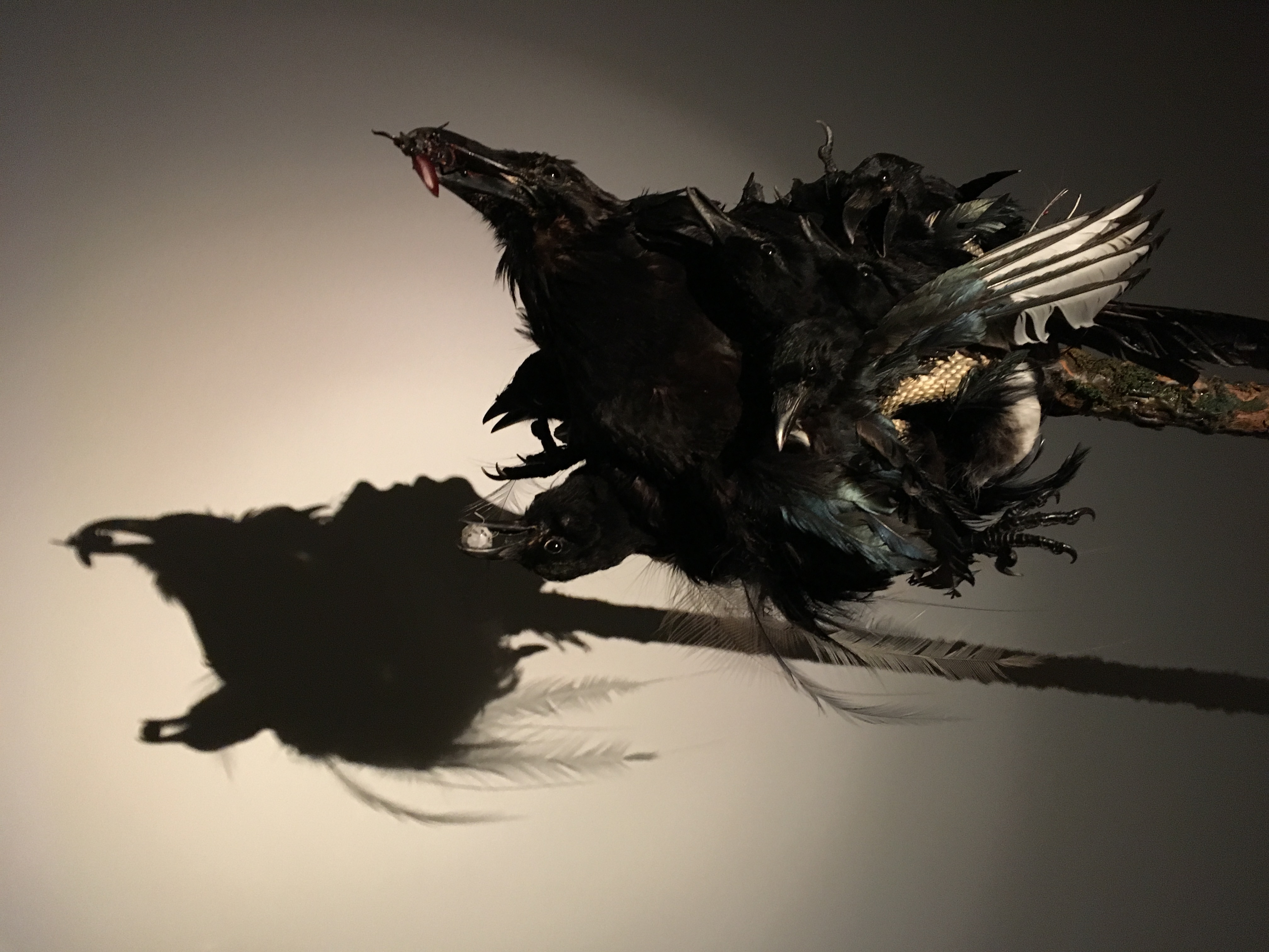 Climate Crisis Digest April 2026 - Writing about the nameless dread of collapse